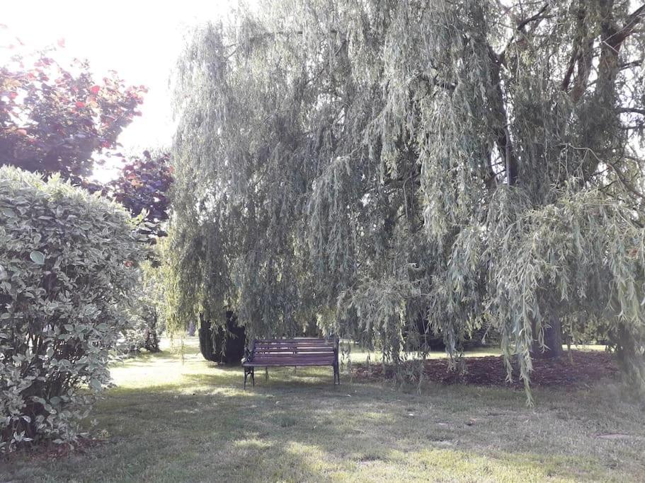 Un Petit Coin De Paradis Clairfontaine Εξωτερικό φωτογραφία